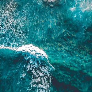 Meet your Posher, Lea